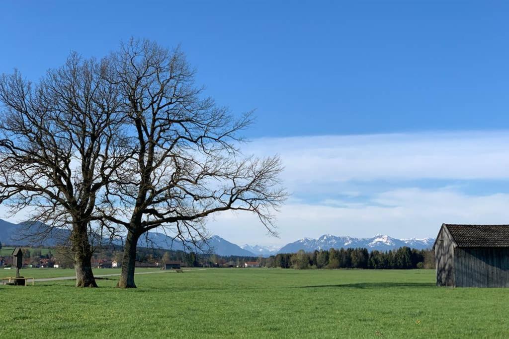 Ferienhaus Koenigsdorf - Urlaub Im Toelzer Land Konigsdorf Ngoại thất bức ảnh